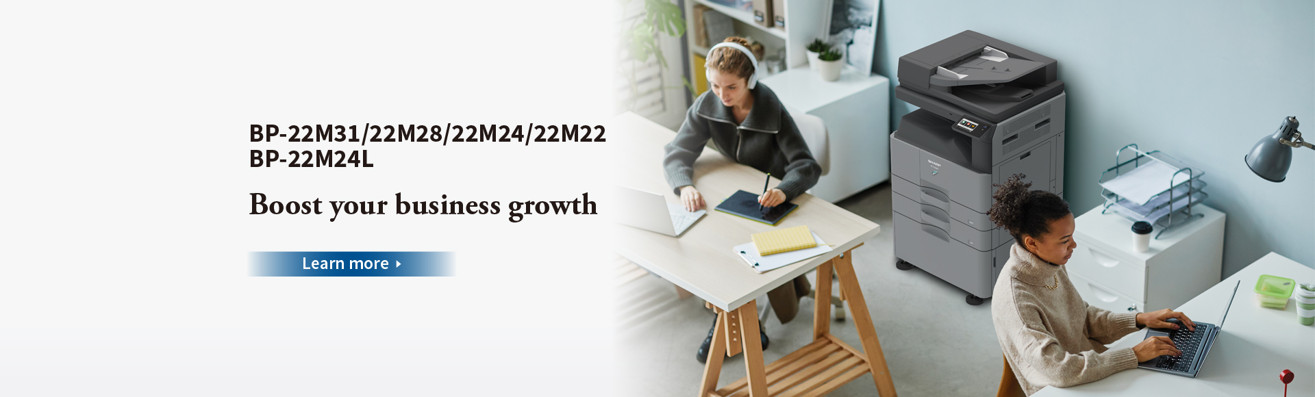 BP-22M31/BP-22M28/BP-22M24/BP-22M22/BP-22M24L